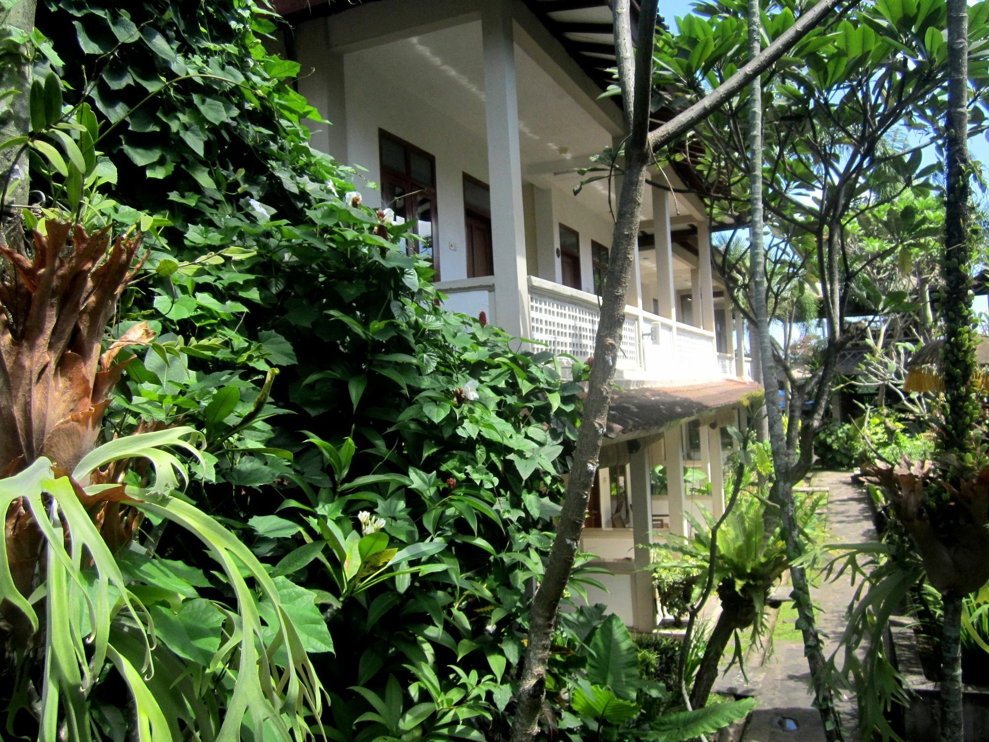 Casa Ganesha Hotel Ubud Екстериор снимка